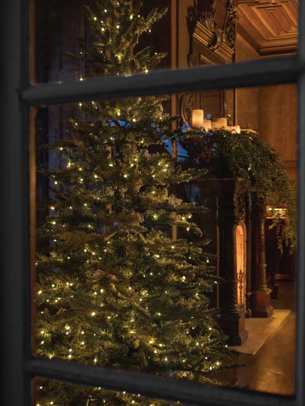 The Promise of Midnight